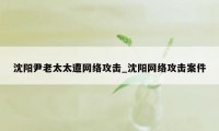 沈阳尹老太太遭网络攻击_沈阳网络攻击案件