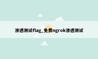 渗透测试flag_免费ngrok渗透测试