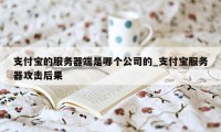 支付宝的服务器端是哪个公司的_支付宝服务器攻击后果