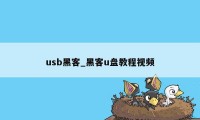 usb黑客_黑客u盘教程视频