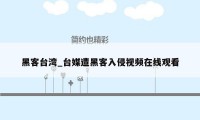 黑客台湾_台媒遭黑客入侵视频在线观看