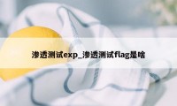 渗透测试exp_渗透测试flag是啥