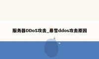 服务器DDoS攻击_暴雪ddos攻击原因