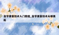 自学黑客技术入门教程_自学黑客技术从哪黑起