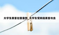 大学生黑客犯罪案例_大学生受网络黑客攻击