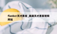 flanker天才黑客_美国天才黑客视频网站