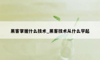 黑客掌握什么技术_黑客技术从什么学起