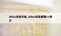 ddos攻击手段_ddos攻击原理++简介