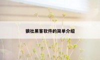 狼社黑客软件的简单介绍