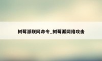 树莓派联网命令_树莓派网络攻击