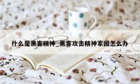 什么是黑客精神_黑客攻击精神家园怎么办