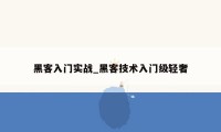 黑客入门实战_黑客技术入门级轻奢