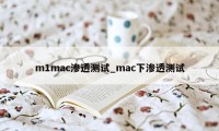 m1mac渗透测试_mac下渗透测试
