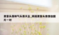 黑客头像帅气头像大全_网络黑客头像情侣图片一对