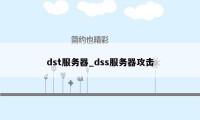 dst服务器_dss服务器攻击