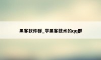 黑客软件群_学黑客技术的qq群