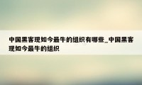 中国黑客现如今最牛的组织有哪些_中国黑客现如今最牛的组织