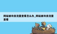 网站被攻击流量查看怎么办_网站被攻击流量查看