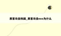 黑客攻击韩国_黑客攻击exo为什么