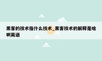 黑客的技术指什么技术_黑客技术的解释是啥啊英语