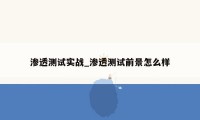 渗透测试实战_渗透测试前景怎么样