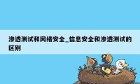 渗透测试和网络安全_信息安全和渗透测试的区别