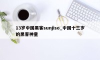 13岁中国黑客sunjiso_中国十三岁的黑客神童