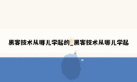 黑客技术从哪儿学起的_黑客技术从哪儿学起