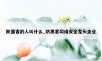 防黑客的人叫什么_防黑客网络安全龙头企业