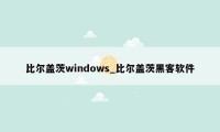 比尔盖茨windows_比尔盖茨黑客软件