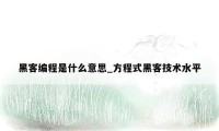 黑客编程是什么意思_方程式黑客技术水平