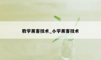 教学黑客技术_小学黑客技术