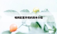 暗网配置环境的简单介绍