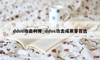 ddos攻击利用_ddos攻击成黑客首选