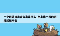 一个网站被攻击会发生什么_刚上线一天的网站就被攻击