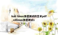 kali linux渗透测试的艺术pdf_cdlinux渗透测试1